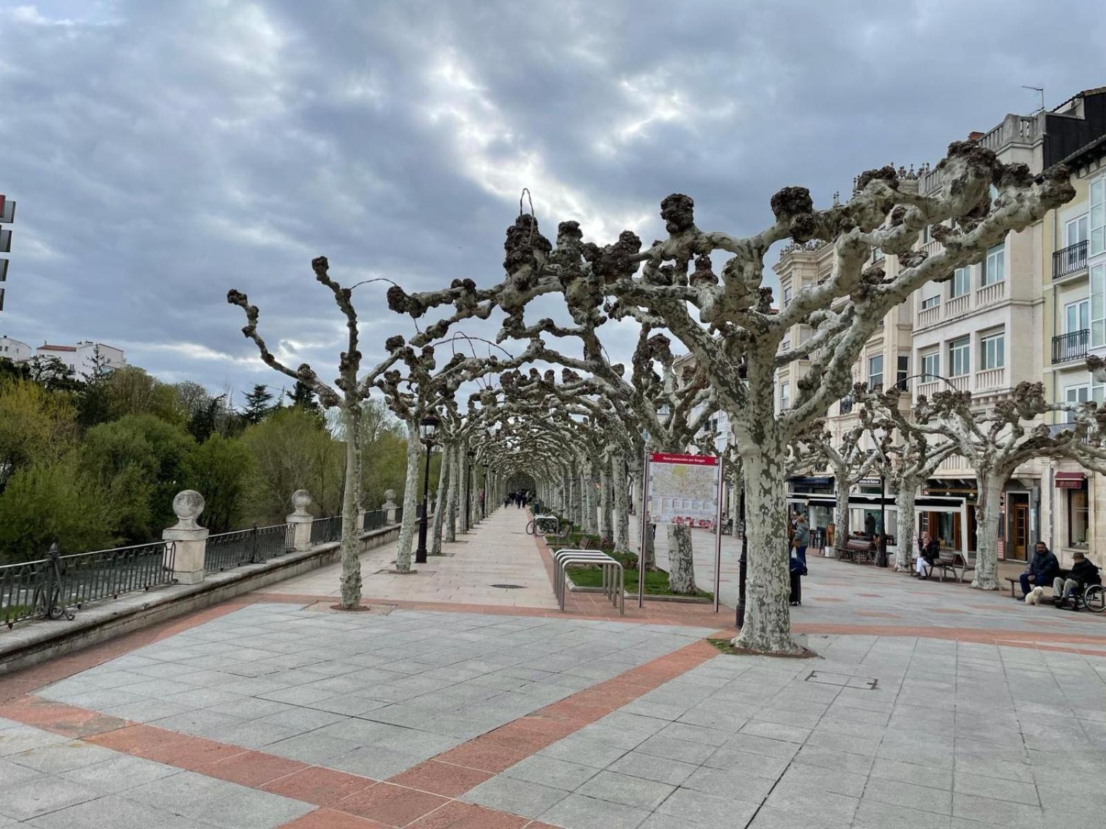 El Farolillo De La Catedral Vivienda De Uso Turistico Vut 9/251 Apartamento Burgo Exterior foto